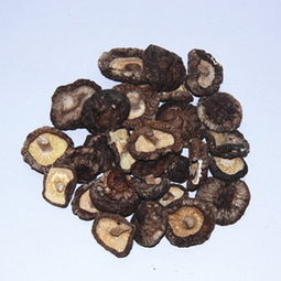 廠家直銷，正宗慶元小香菇 食用菌干貨批發(fā)新選擇